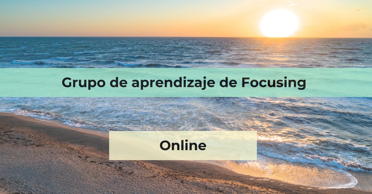 Foto web focusing online