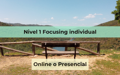 Nivel 1 Focusing Individual
