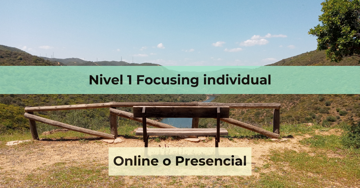 Nivel 1 focusing individual web