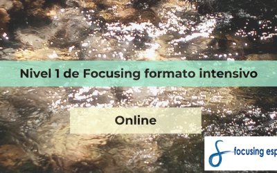 Nivel 1 Focusing online formato intensivo