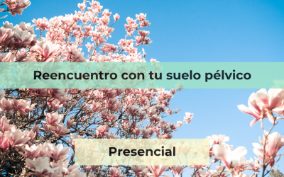 Reencuentro con tu suelo pélvico
