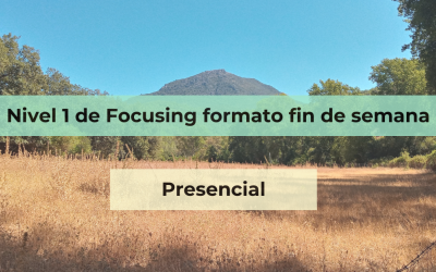 Grupo presencial de aprendizaje de Focusing, formato mensual