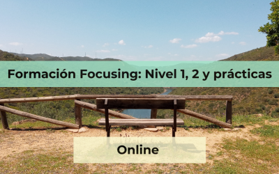 Iniciación al Focusing: nivel 1, 2 y prácticas tutorizadas